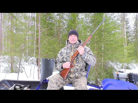 Видео: САМЫЙ НЕЛЕПЫЙ КАЛИБР ДЛЯ ОХОТЫ / ТРИ РАЗНЫХ ПУЛИ ПО СОСНОВОМУ ПОЛЕНУ / КАРАБИН CZ 527 lux 223 рем.