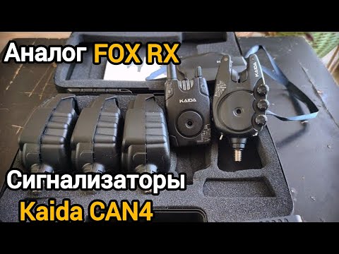 Видео: Небольшой обзор на бюджетные сигнализаторы поклевки Kaida CAN4 #карп #kaida #carp #carpfishing