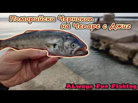 Видео: Намерихме пасажи Чернокоп, риболов с ЧЕПАРЕ и Джиг