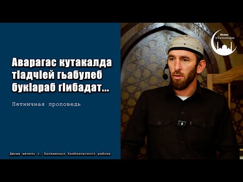 Видео: Аварагас бищунго т1адч1ей гьабулеб бук1араб г1амал ккола как