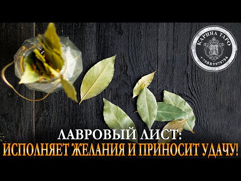 Видео: Лавровый лист: исполняет желания, приносит удачу, здоровье, любовь, убирает соперников