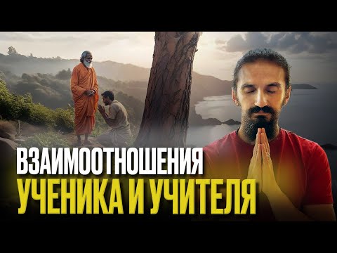 Видео: Взаимоотношения ученика и учителя