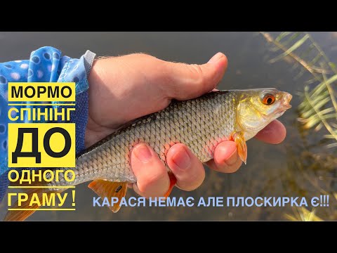 Видео: Мормо спінінг до одного граму / карася немає але плоскирка є !!!