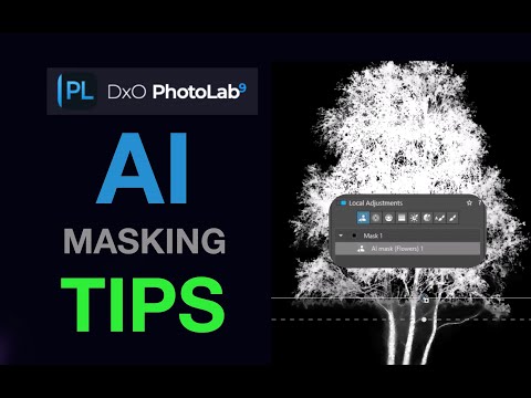 Видео: 5 важных советов по маскированию с помощью DxO PhotoLab 9 для более быстрого и чистого редактиров...