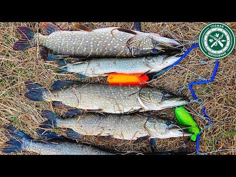 Видео: ЭКСТРЕМАЛЬНАЯ РЫБАЛКА ! ОГРОМНЫЕ ЩУКИ НА ЖИВЦА ! Ловля на жерлицы осенью 2023