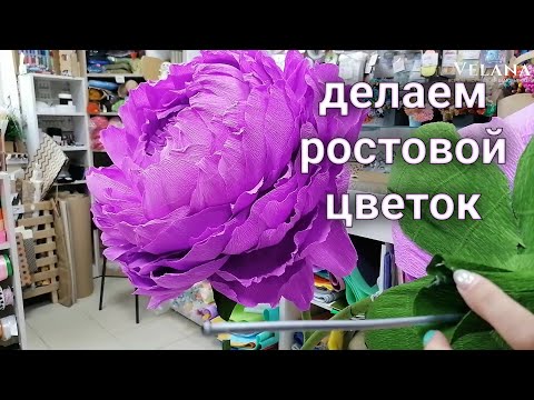 Видео: Ростовой цветок из гофрированной бумаги