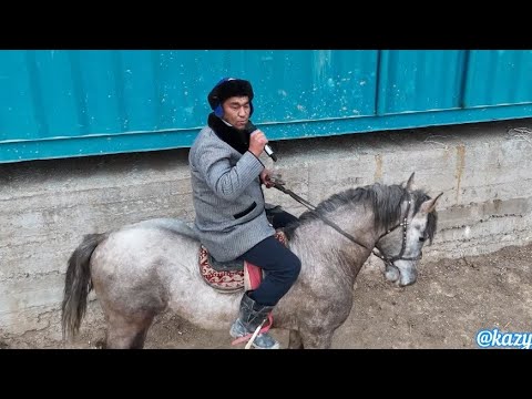 Видео: 07.02.2025 Қазығұрт ауданы Шарбұлақ ауылы Нұрлан бауырымыздың елден бата алу көкпар тойы