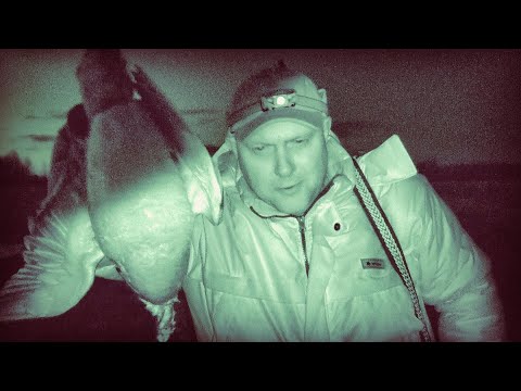 Видео: Ночная весенняя охота с подсадными утками. Что делать если подсадная утка не работает!?
