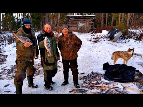 Видео: Рыбацкий рай под Новый Год в ХМАО. Часть 1.