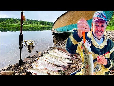 Видео: СЕРДЦЕ ЗАМИРАЕТ ОТ ПОКЛЕВКИ ЭТОЙ РЫБЫ Вырывают спиннинг на глухой таежной речке Ловля ленка