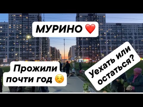 Видео: МУРИНО ❤️! Прожили почти год! Уехать или остаться?