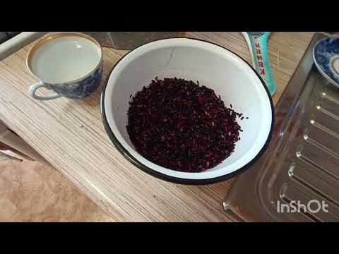Видео: #104. Секреты приготовления черного риса. Вкусно и полезно.