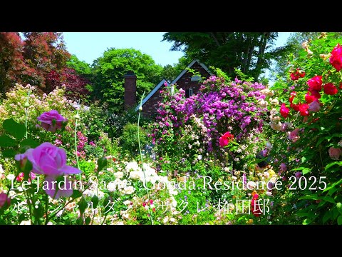 Видео: 【Частная резиденция】 Это был рай цветов! Le jardin secret 2025