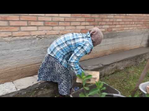 Видео: Было   ужасно  Страшно   но  Стало  так  Красиво