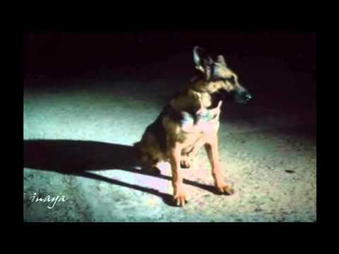 Видео: Я буду ждать...