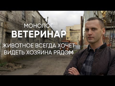 Видео: "Усыпите его, он мне надоел": #монолог ветеринара