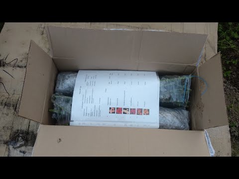 Видео: Посылка🌹 из питомника "Садовая идиллия"👀