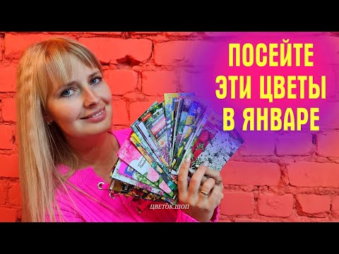 Видео: Посейте ЭТИ ЦВЕТЫ В ЯНВАРЕ! СУПЕР подборка ДЛЯ РАННЕГО ПОСЕВА
