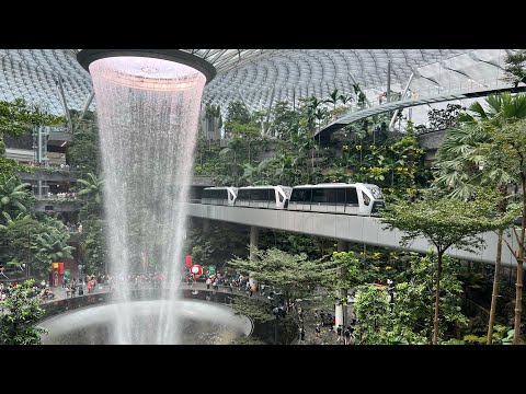 Видео: #38 Летим домой! Etihad подвел. Невероятный аэропорт Сингапура. В Абу-Даби тоже неплохо. Зверье мое.