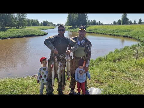 Видео: На каракате вей семьёй за щуками