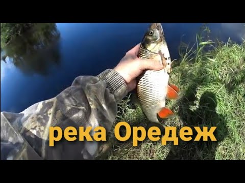 Видео: Река Оредеж, попытка порыбачить на сильном течении