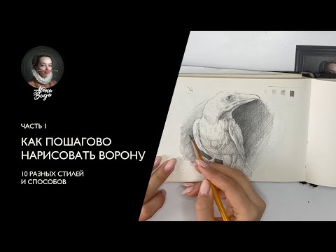 Видео: Часть 1: Как нарисовать ворону карандашом - 10 способов и стилей