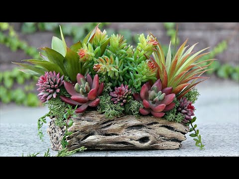 Видео: Композиции из комнатных растений. Что нужно знать о  групповой посадке растений.