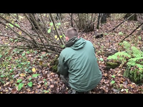 Видео: ЧТО МОЖНО НАЙТИ В ЛЕСУ НА КОПАНОМ СЕЛИЩЕ. КЛАДОИСКАТЕЛЬ РУСЯ