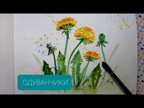 Видео: Акварель для начинающих.  Как просто нарисовать ОДУВАНЧИКИ