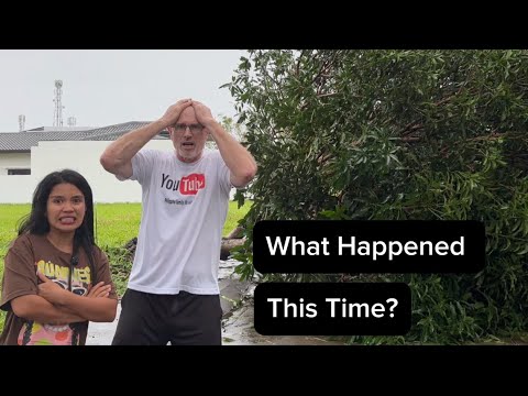 Видео: Что с нами случилось на этот раз?