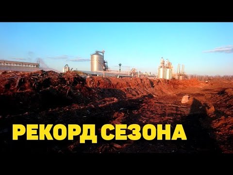 Видео: Металл с завода сюда скидывали десятилетиями.