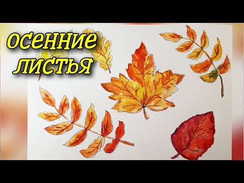 Видео: Осенние листья. Рисование. Простой рисунок. Для начинающих