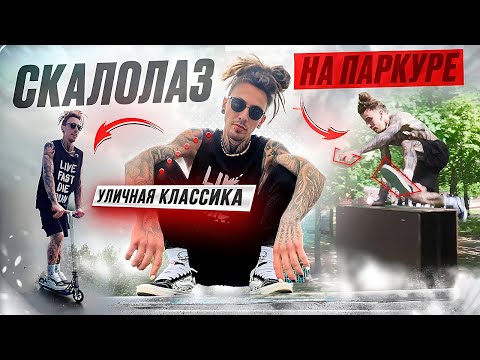 Видео: УЛИЧНАЯ КЛАССИКА. Скалолаз на фестивале по паркуру и другие уличные виды спорта!
