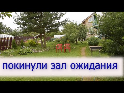 Видео: ПЕРВАЯ ТРЕНИОВКА молодых голубей на 20 км.