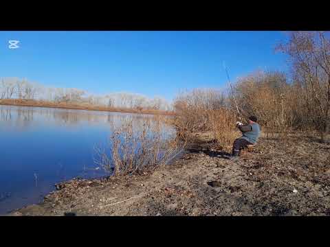 Видео: НА берегу речки Шыгана