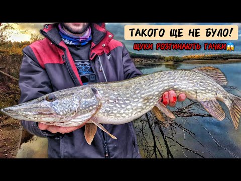 Видео: ЩУКИ і СУДАКИ ЛЮТУЮТЬ! Осінь в розпалі: час джигу на Десні