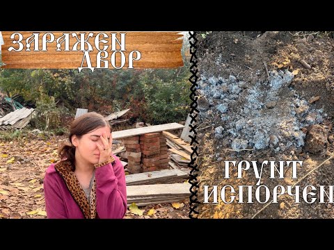 Видео: ПЛЕСЕНЬ ЗАХВАТИЛА НАШ ДВОР/ Купили старый дом 