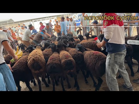Видео: Мобозори Н-Дусти Нархи Кушкор барра 2025 г.