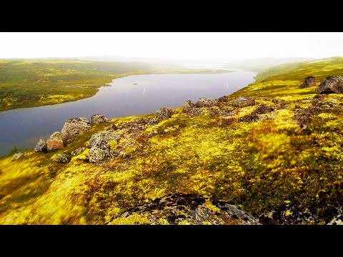 Видео: В ЭТОМ ОЗЕРЕ ВОДА КИПИТ ОТ РЫБЫ!!! НЕВЕРОЯТНАЯ РЫБАЛКА В ТУНДРЕ