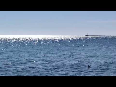 Видео: Релакс с Приморской площади море Бердянск 15 сентября 2025 года