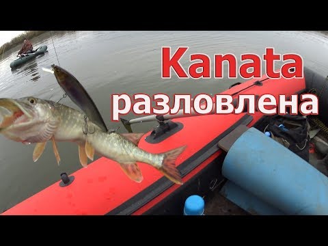 Видео: Megabass Kanata - не БАРАХЛО! Помогает уйти от ноля )) ЧЕПЦА В ОКТЯБРЕ.