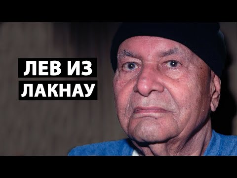 Видео: Если боишься пробуждения - остерегайся даже смотреть на этого Льва