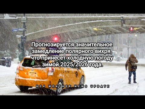 Видео: Прогнозируется значительное замедление полярного вихря, что принесет холодную погоду зимой...
