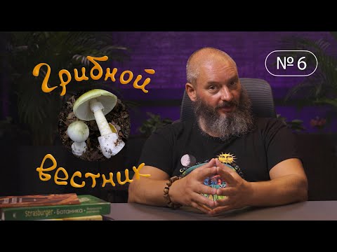 Видео: Грибной Вестник №6 | разумны ли грибы; ботулизм; функциональное питание; самый дорогой гриб