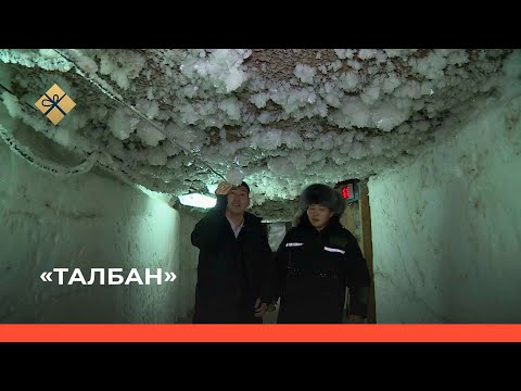 Видео: «Талбан» биэриигэ: ирбэт тоҥ ирэн эрэр дуо? (10.01.22)
