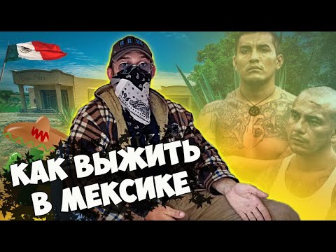Видео: Мексика не из кино: попал в картель и чудом спас жизнь