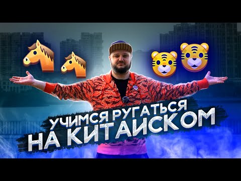 Видео: ЛОШАДЬ-ЛОШАДЬ, ТИГР-ТИГР. Учимся РУГАТЬСЯ на Китайском!!!