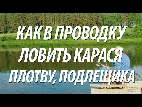 Видео: РЫБАЛКА НА КАРАСЯ, ПЛОТВУ, ПОДЛЕЩИКА В ПРОВОДКУ ОСЕНЬЮ С НОРМУНДОМ