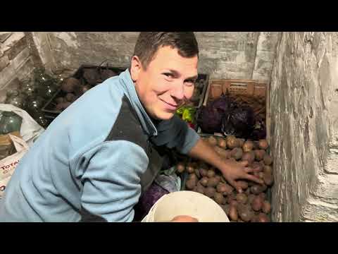 Видео: Запаси у погребі- то діло святе!!! І випити і закусити)))