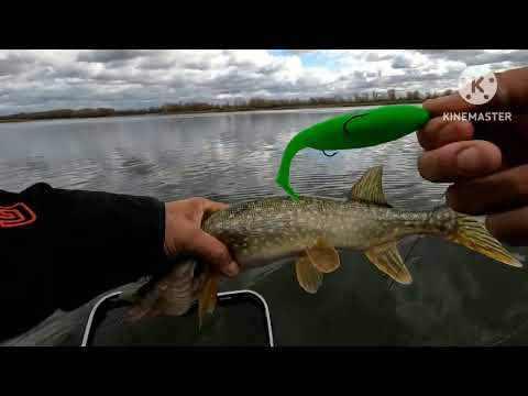 Видео: Рыбалка на щуку. С новой камерой GoPro 10